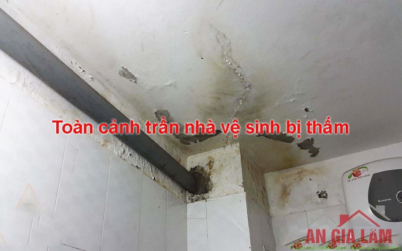 hướng dẫn chống thấm nhà vệ sinh